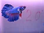 IMG 7994