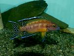 P1000420.jpg1