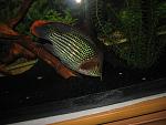 IMG 8174