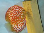 IMG 6957