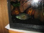IMG 8182