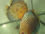 IMG 8192