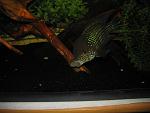 IMG 8184