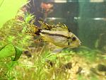 DSC00199