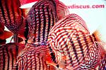 DSC0407