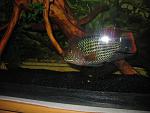 IMG 8181