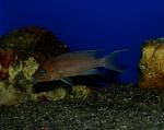 P1020283