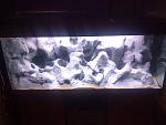 tank1
