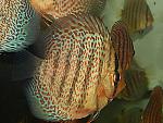 DSCN5792