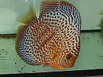 DSCN5821