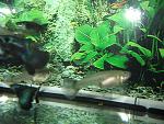 IMG 3579