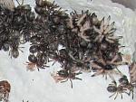 IMG 4070