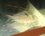 IMG 7699