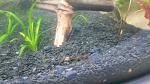 1DSCN3188