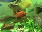 IMG 20130114 131631