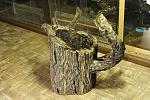 decor 9 08