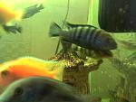 IMG 20130114 131521
