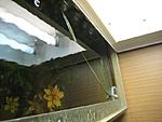IMG 1061