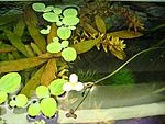 DSC01279