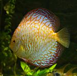 DSC 7673