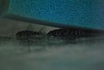 DSC 0016