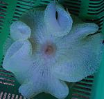DSC 0251