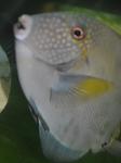 DSC 0380