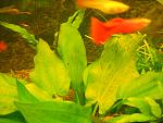 DSCN0165
