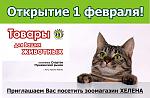 Cat training