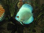 IMG 3658 1