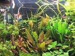IMG 0105[1]