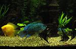 IMG 3199 11