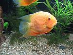 IMG 3641 11