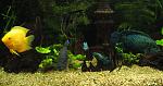 IMG 3208 11