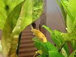 IMG 20130209 141951