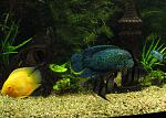 IMG 3207 11