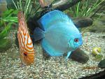 IMG 4349 1