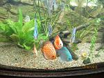 IMG 4351 1