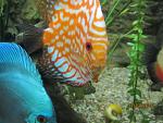 IMG 4342 1