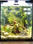 DSCF0282