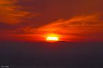 DSC 0001
