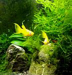DSCF005311