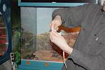 IMG 6187
