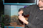 IMG 6189