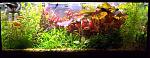 DSCF2740 
30.12.2012.