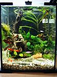 DSCF0553