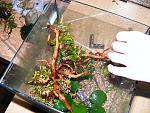 DSCF0443