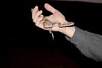 IMG 6196