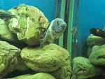 IMG 3263