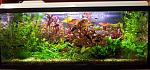 DSCF2538 
13.12.2012.